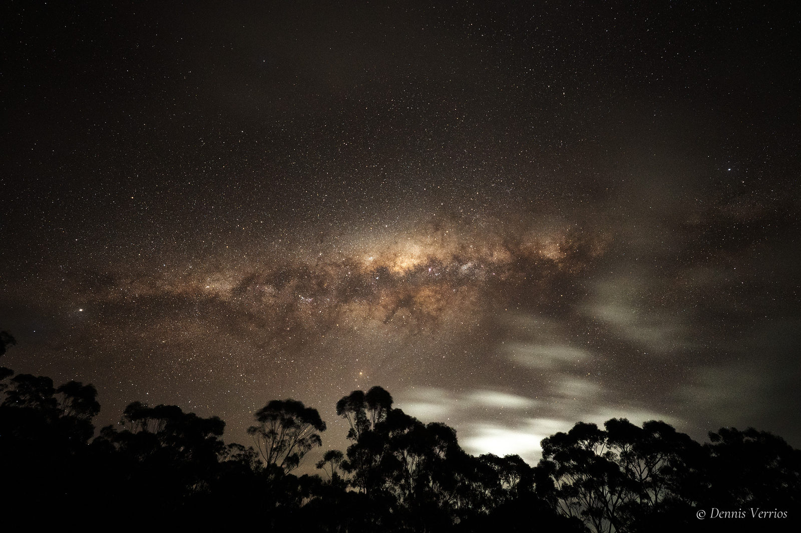 The Milky Way's bright galactic core arching above silhouetted eucalyptus trees on a partly cloudy night at the Leon Mow Dark Sky Site, Ladys Pass, Victoria. Photograph by Dennis Verrios.