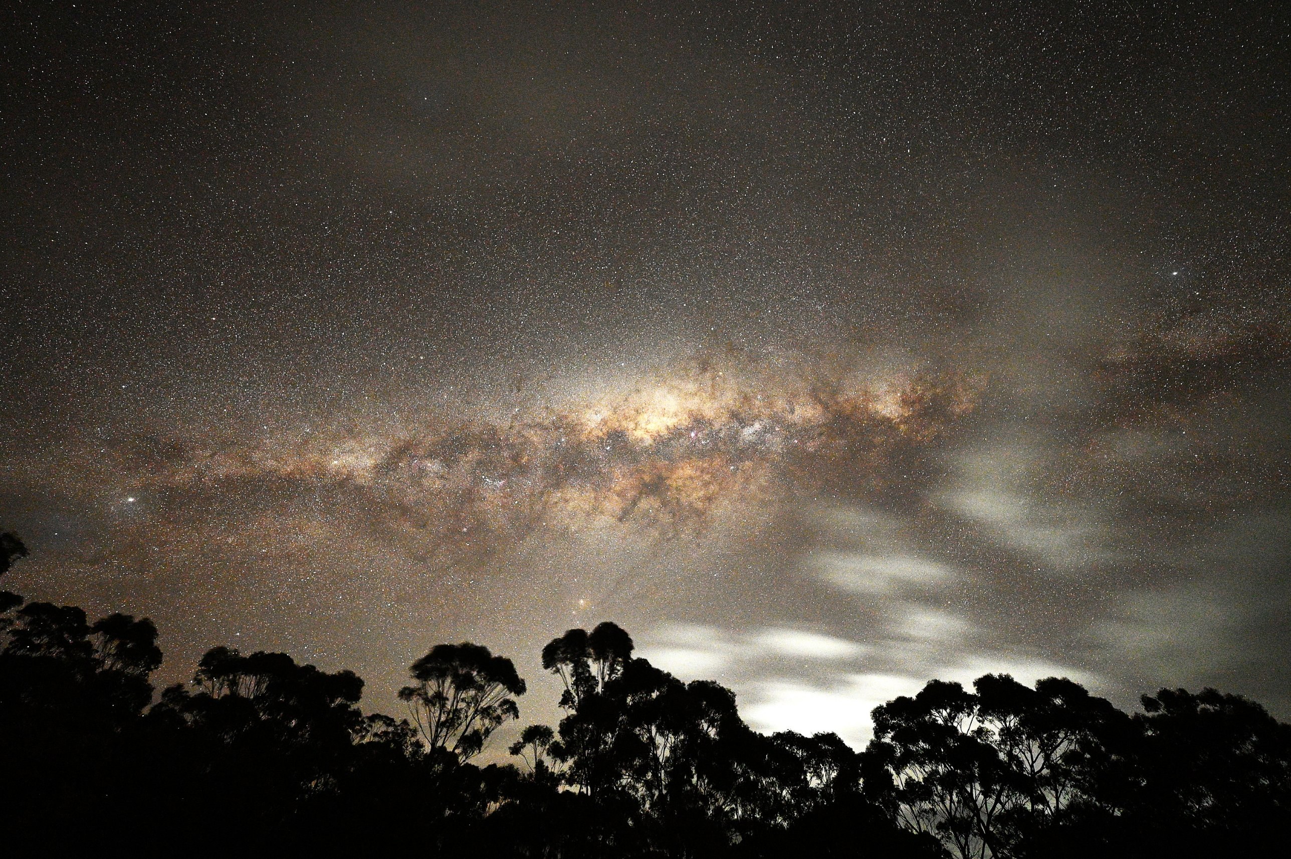 The Milky Way's bright galactic core arching above silhouetted eucalyptus trees on a partly cloudy night at the Leon Mow Dark Sky Site, Ladys Pass, Victoria. Photograph by Dennis Verrios.